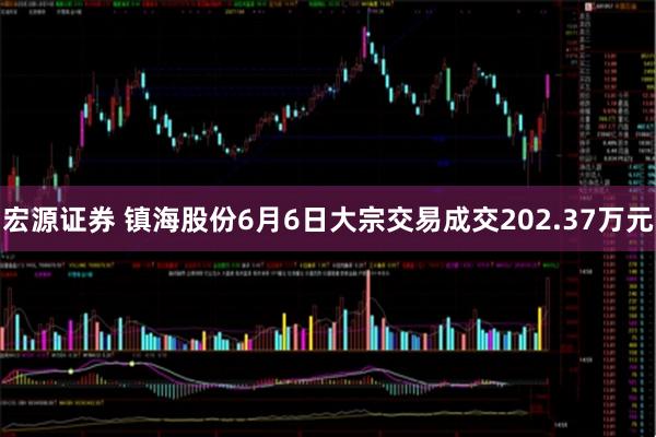 宏源证券 镇海股份6月6日大宗交易成交202.37万元