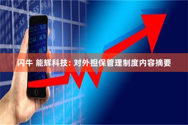 闪牛 能辉科技: 对外担保管理制度内容摘要