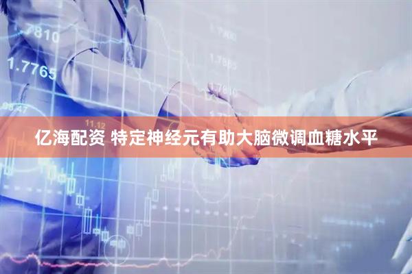 亿海配资 特定神经元有助大脑微调血糖水平