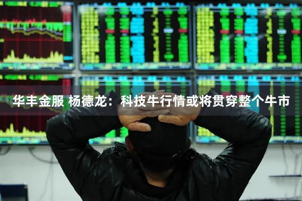 华丰金服 杨德龙：科技牛行情或将贯穿整个牛市